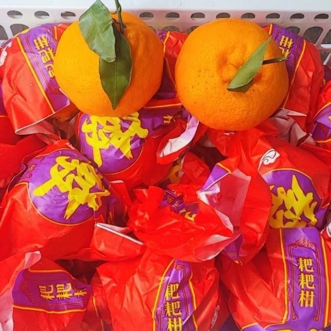 

SALE! LOLA JERUK KUPAS DEKOPON PAPAGAN CHUN JIAN IMPORT 1 KG