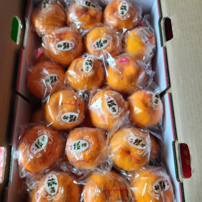 

SALE! JERUK HONEY MANDARIN PONKAM HDL TASTY /1 DUS
