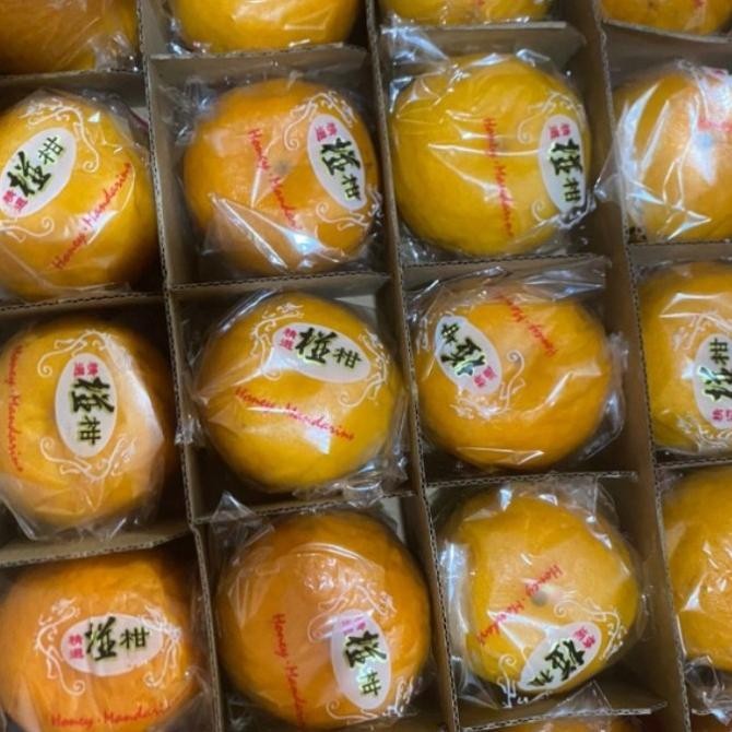 

SALE! JERUK MANDARIN PONKAM 1KRANJANG
