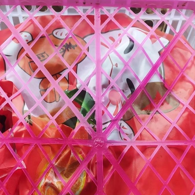 

SALE! JERUK PAPAGAN DEKOPON 1 KERANJANG