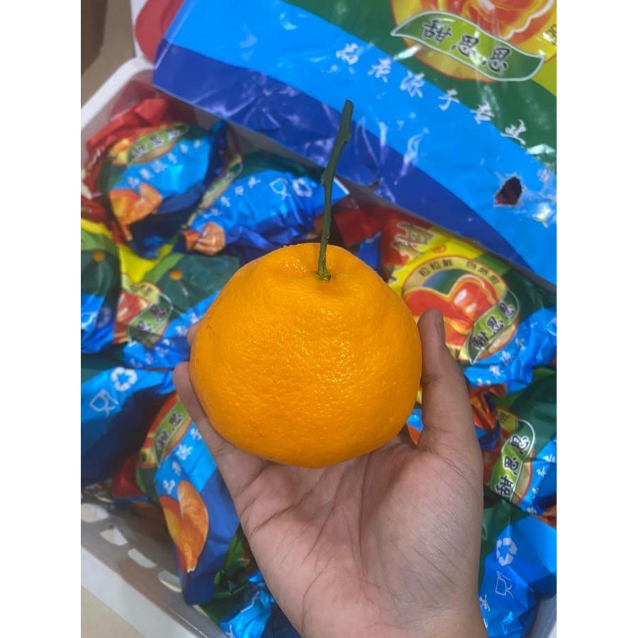 

SALE! JERUK SUMO JERUK KUPAS. BERBULIR BANYAK AIR. MURAH. FRESH MANIS SEGAR