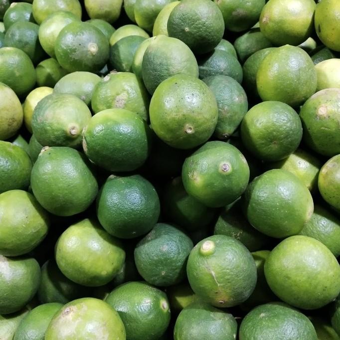 

SALE! JERUK NIPIS 1 KG