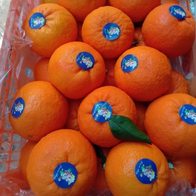 

SALE! JERUK WOGAN WOKAM PONKAM MANDARIN MANIS SEGAR FRESH 1 KG