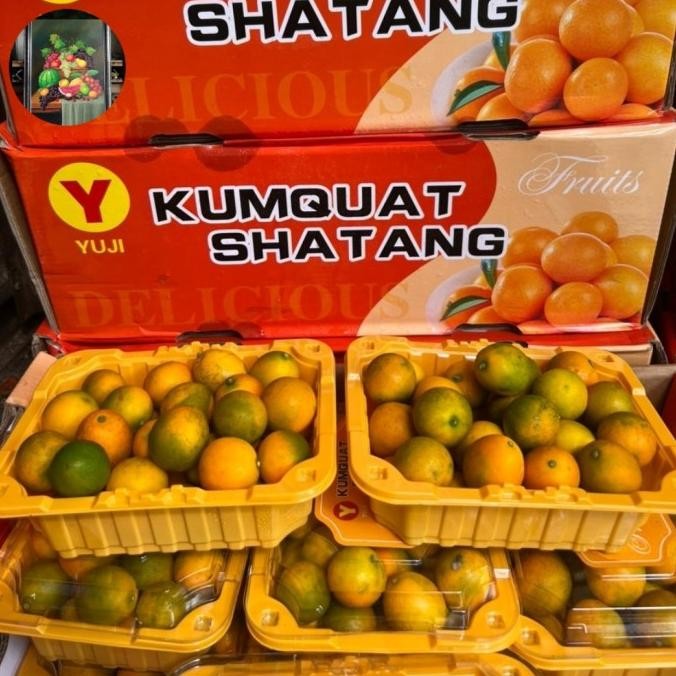 

SALE! BUAH JERUK KIMKIT GOLDEN PER 1 DUS 12PCK 500X PER PCK