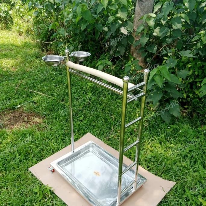 Tangkringan Burung Parrot Kakatua