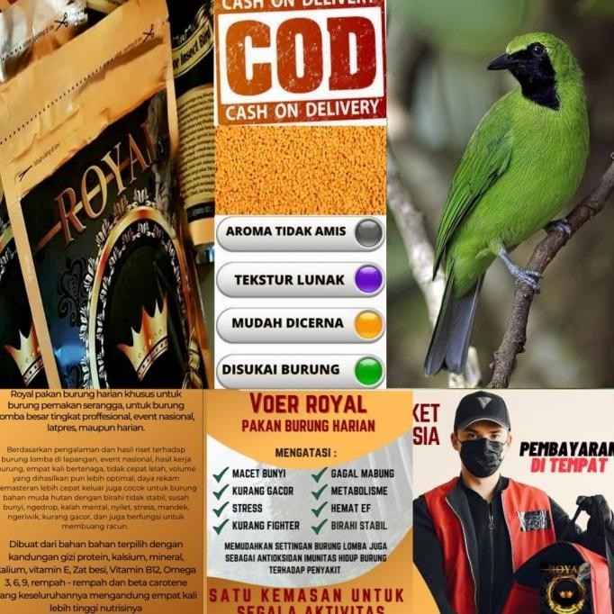 Pur Pakan Voer Burung Cucak Ijo 300 Gr Royal