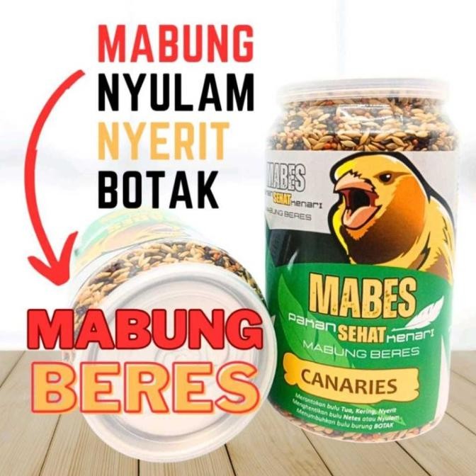 Mabes Kenari Pakan Burung Kenari Mabung Nyulam Nyerit Kenari Ys Af F1