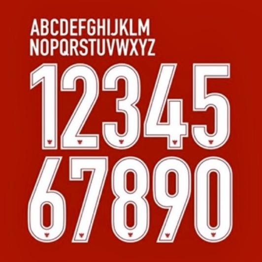 NAMESET JERSEY TIMNAS CUSTOM