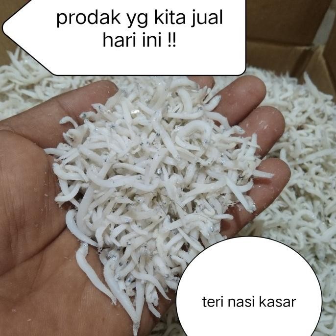 

ori - teri medan 1kg/ikan asin teri nasi