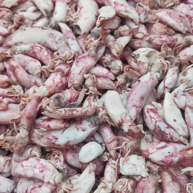 

ori - cumi asin kecil baby 1kg ikan asin cumi 1 kg