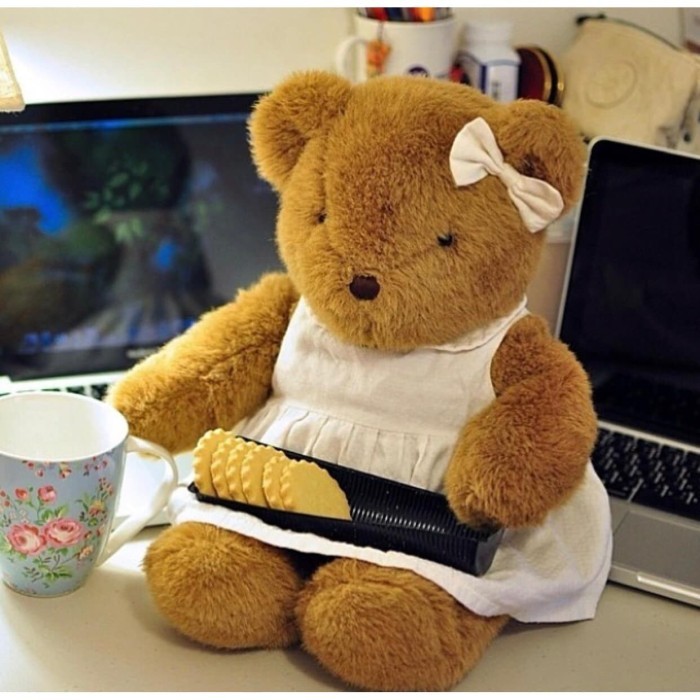 

TEDDY HOUSE BONEKA TEDDY BEAR TAMBO BEAR 14 INCH