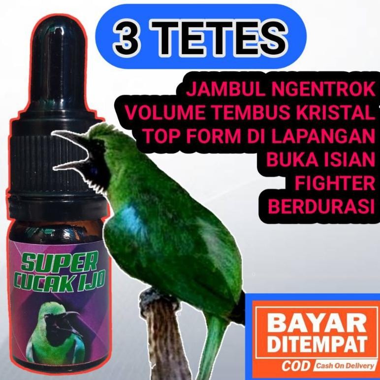 SALE SUPER CUCAK IJO VITAMIN SUPLEMEN GACOR & LOMBA BURUNG CUCAK IJO vf-52