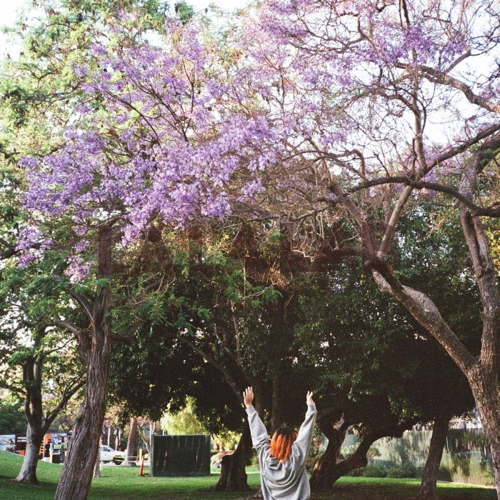 Develop + Scan [Cuci Scan Roll Film]