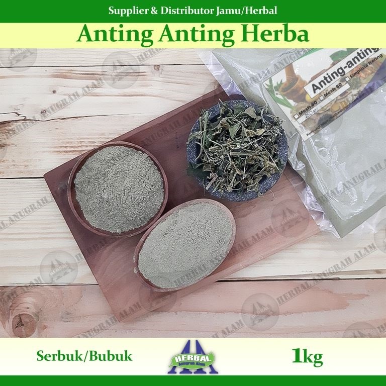 Anting Anting | Acalypha Indica | Lateng Putih - Herba (Serbuk) 1Kg - Herbal