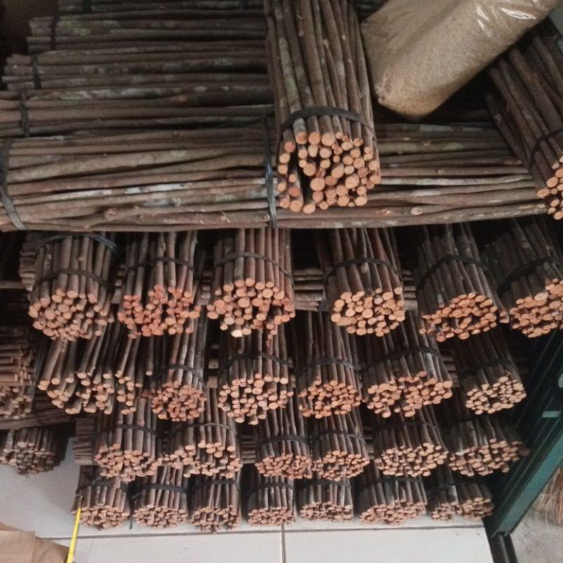 kayu asem Bali kayu asem Jawa kayu asem tangkringan burung harga grosir 1 ikat isi 50batang