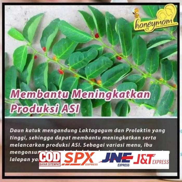 

Harga Terjangkau 100Gram Daun Katuk Bubuk Herbal Alami Daun Herbal Asli Kalimantan