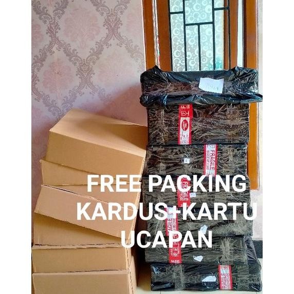 

TERLARIS BUCKET UANG KOSONGAN POLOS 10 SLOT,MURAH WARNA POLOSAN READY/TIDAK PO,FREE PACKING KARDUS+KARTU UCAPAN ryu-56