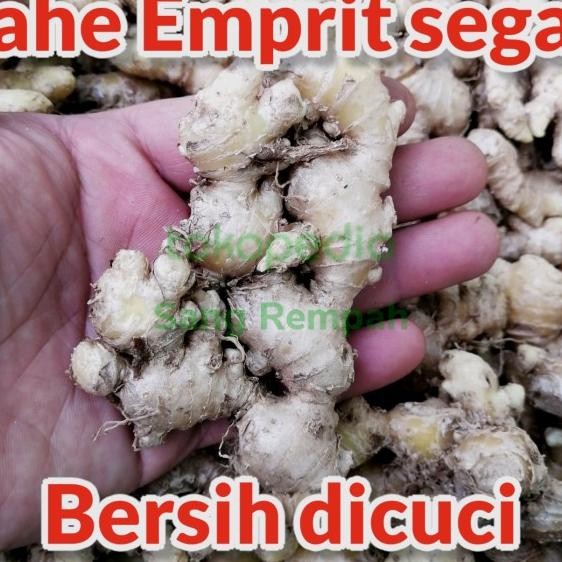 

Jahe Emprit Jawa 1 Kg