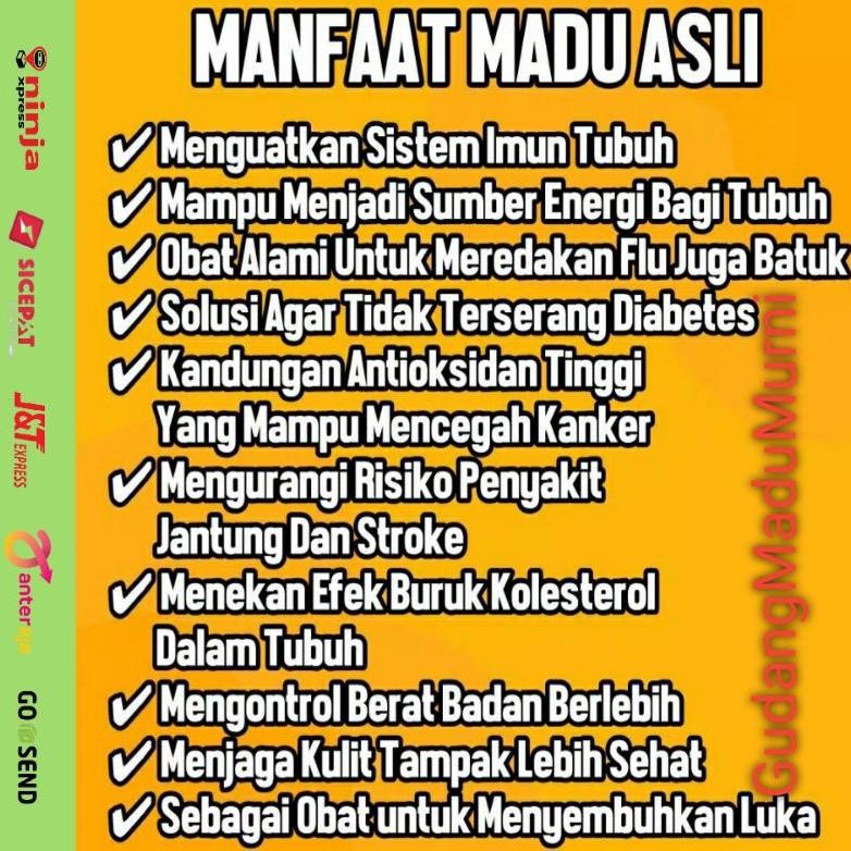

Ori Madu Sarang Cerana Asli 100% Premium Honey Madu Murni Nektar Bunga Hutan Madu Manis Murni Asli High Quality