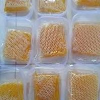 

Terpercaya Madu Sarang Madu Asli 250Gr - Madu Sarang Original Grosir