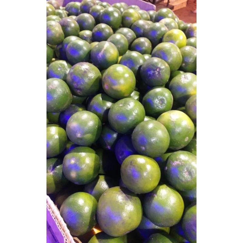 

SisumaFresh Jeruk Peras 1 Kg