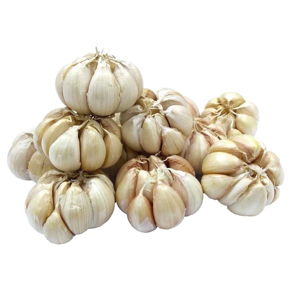 

Bawang Putih Natural 1kg