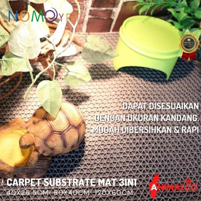 Karpet Alas Kandang Nomoy Reptil Reptile Kura Sulcata Iguana