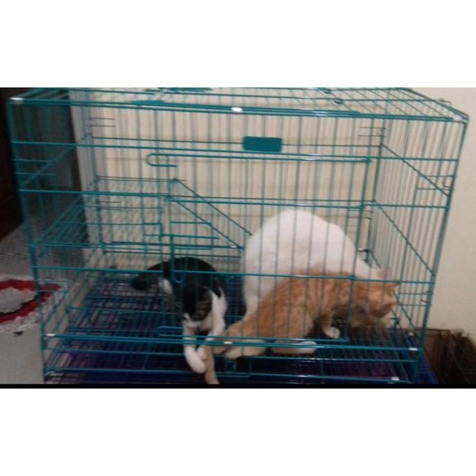 Kandang Kucing Hamster Kelinci ( Kandang Tingkat )