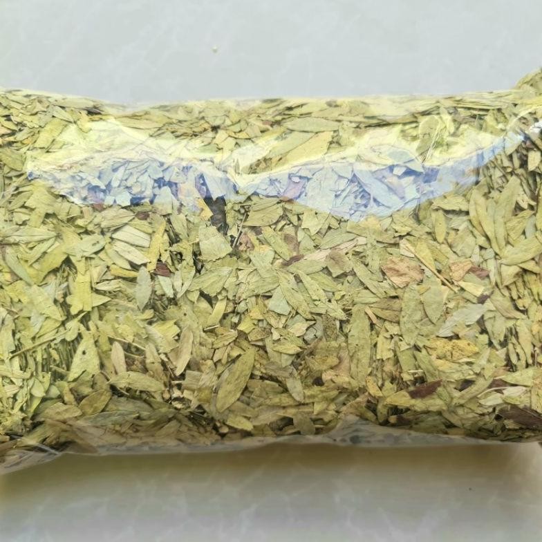 

Hemat Premium Daun Jati Cina 100Gr / 200Gr - Teh Daun Jati Cina Asli Daun Herbal Aman Terbaik