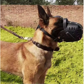 Leather Dog Muzzle Brongsong Brangus Anjing Kulit no Collar Leash