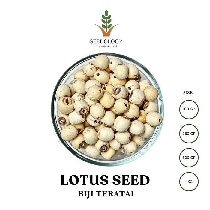 

Terlaris Lotus Seed 100gr - Biji Teratai (Lian Zhi) SALE