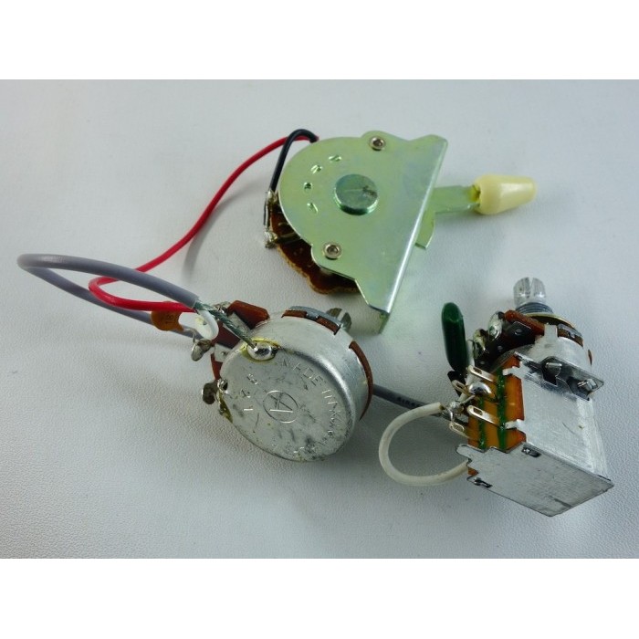 PRS SE Custom Pre-wired Kit