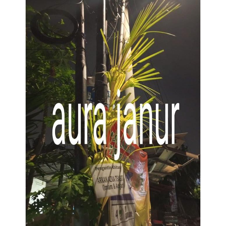 VIRAL JANUR NIKAHAN SUPER (Beli 2 aura super bonus 1 janur kecil )UKURAN JUMBO /aura janur Janur kun