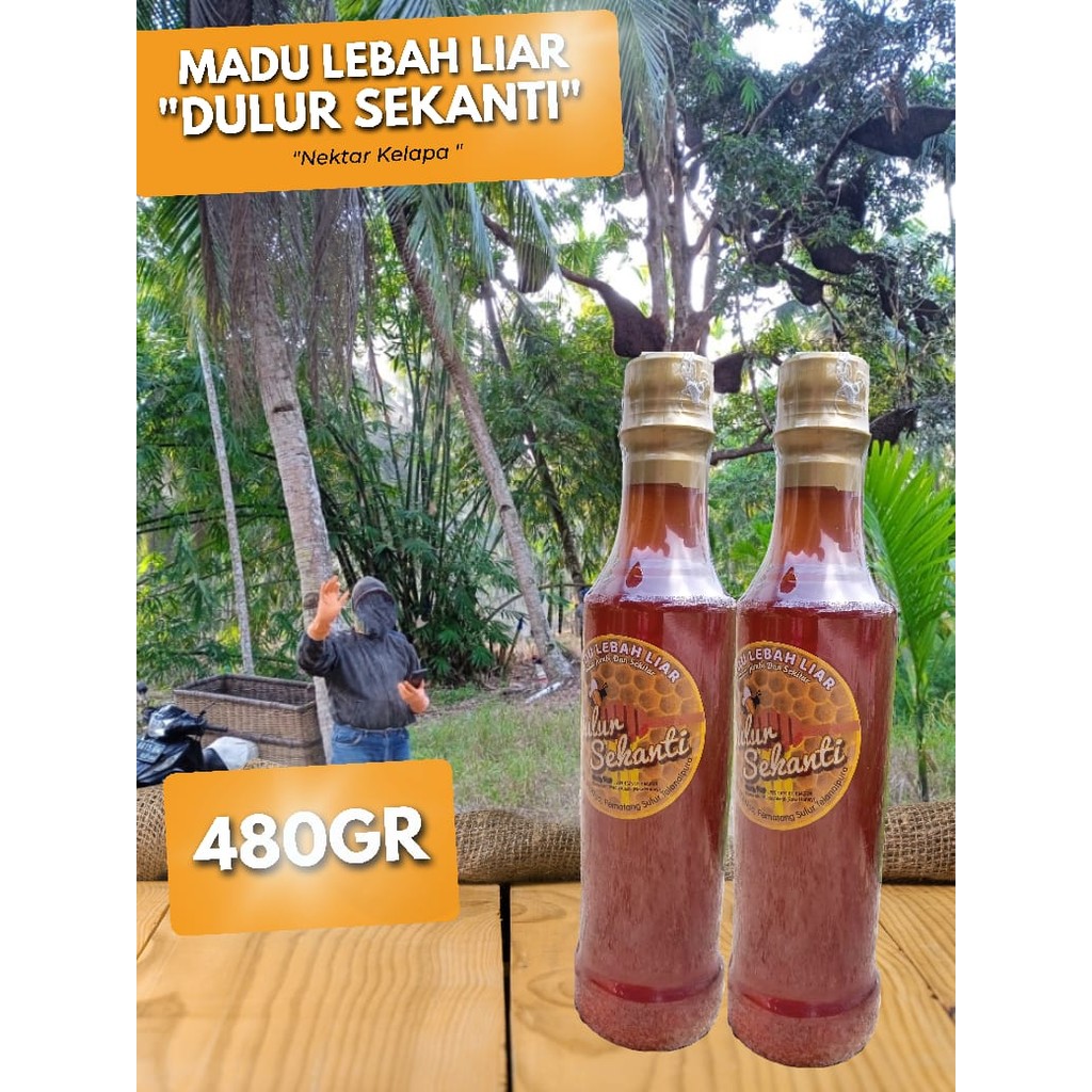 

480 gram Madu Lebah Liar Nektar Kelapa – Sensasi Menikmati Madu dengan Rasa Dogan/Kelapa Muda