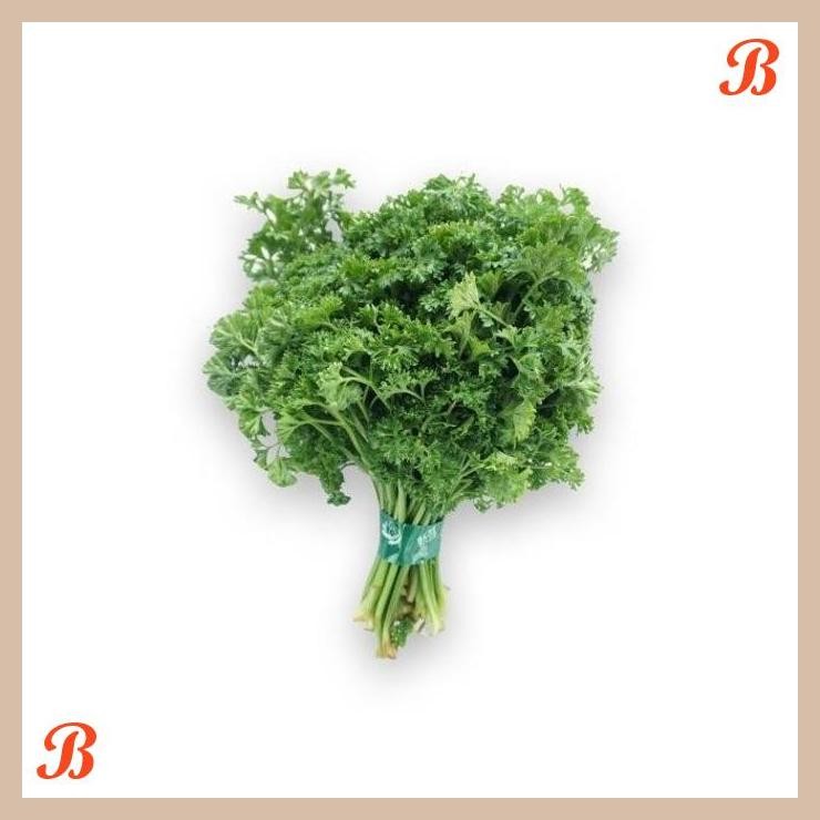 

| NN | PARSLEY (PETERSELI) CURLY ORGANIK 100 GR