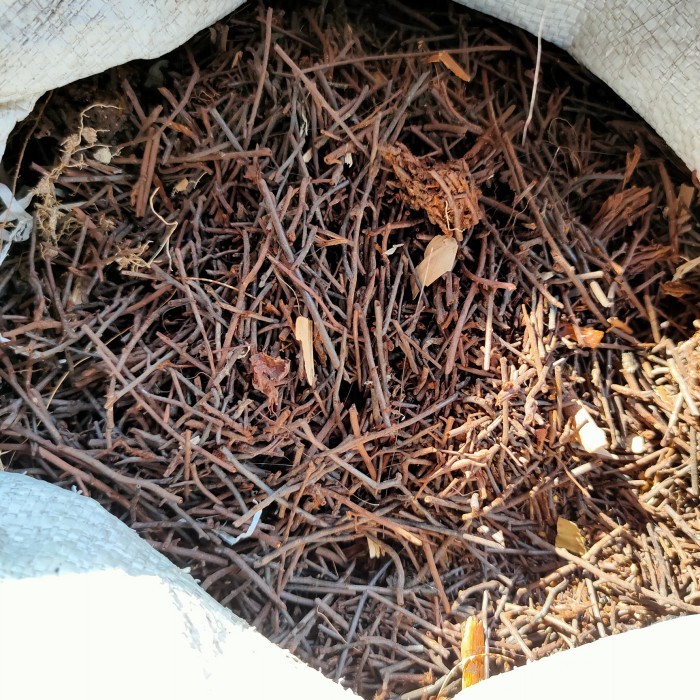 PAKIS CACAH KASAR KARUNGAN