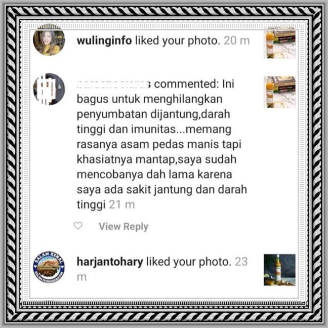 

Obat Bawang Putih Jahe Lemon Cuka Apel Madu - Akol