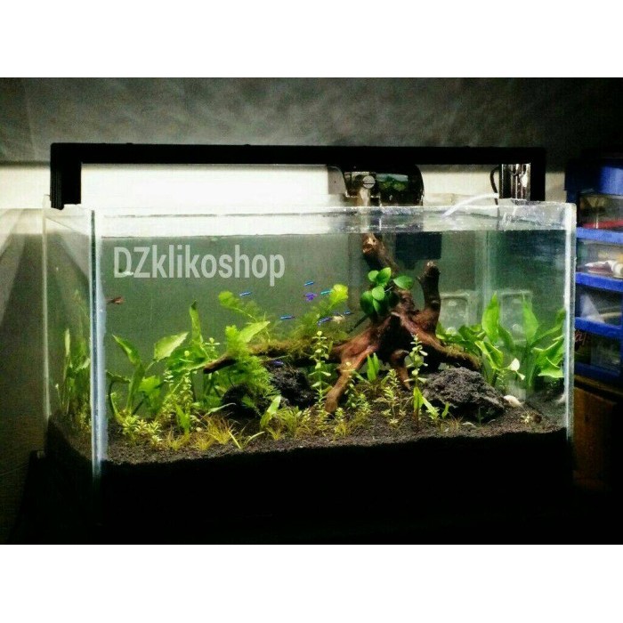 Terlaris Lampu Led Diy Aquascape Aquarium 80Cm 80 Cm