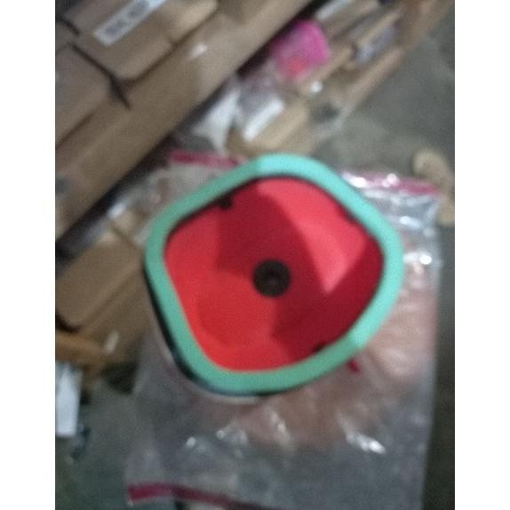 busa filter viar 250sf