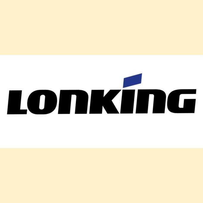 

SEAL KLEP LONKING CDL101 ZHBZG1 2410T