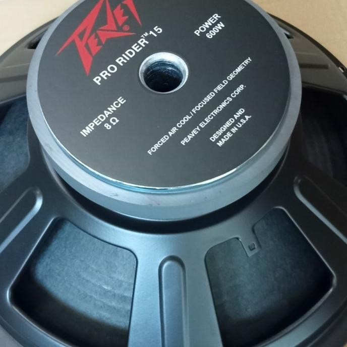 SPEAKER 15 INCH PEAVEY PRO RIDER