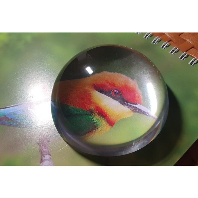 

Pemberat Kertas dan Kaca Pembesar Dari Bahan Glass Kristal Small [terbaik]