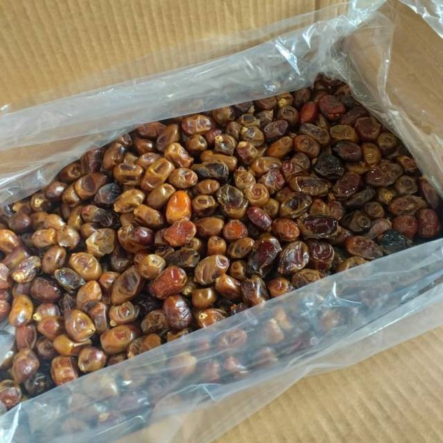 

Kurma Sayer 500Gr Premium Korma Super Fresh Original Berkualitas