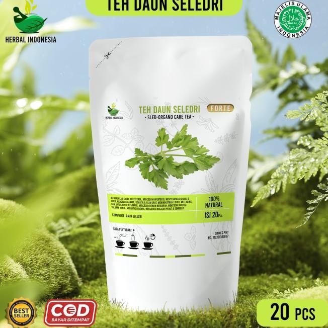 

Teh Celup Daun Seledri Turunkan Tekanan Darah