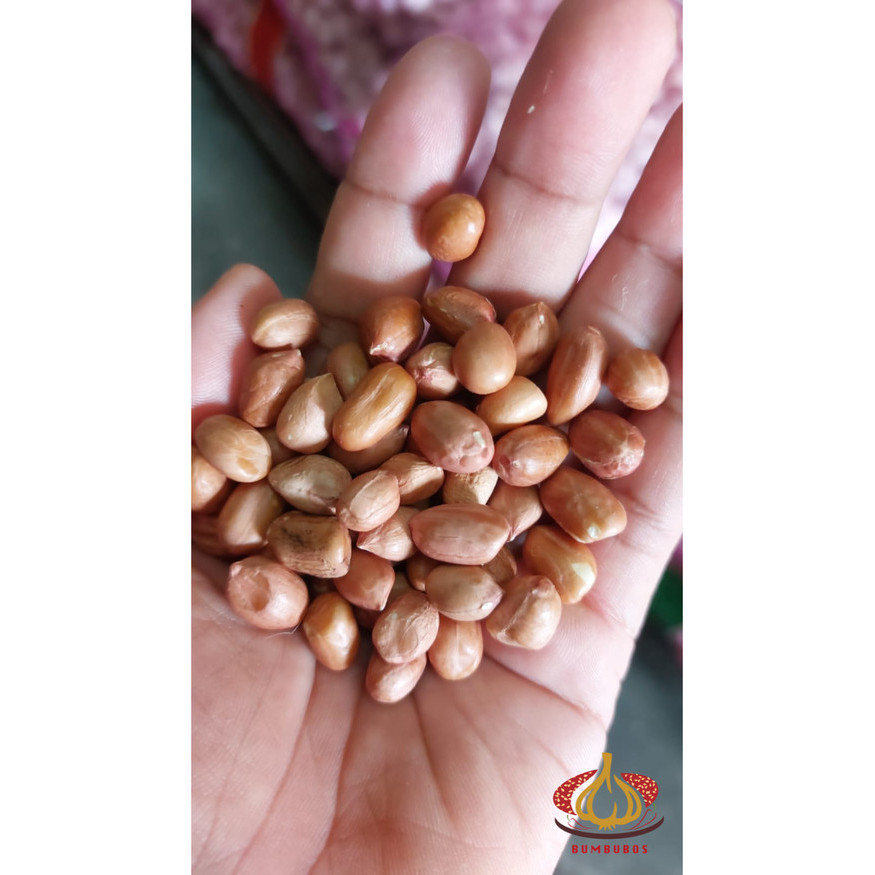 

Kacang Tanah India 1 Sak Karung Ball 25 Kg Terbaru