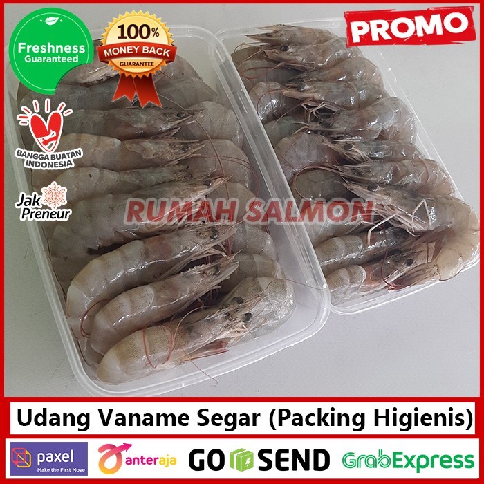 

Udang Tambak Vaname Premium 1Kg / Vannamei /Segar/ Jumbo Segar Fresh