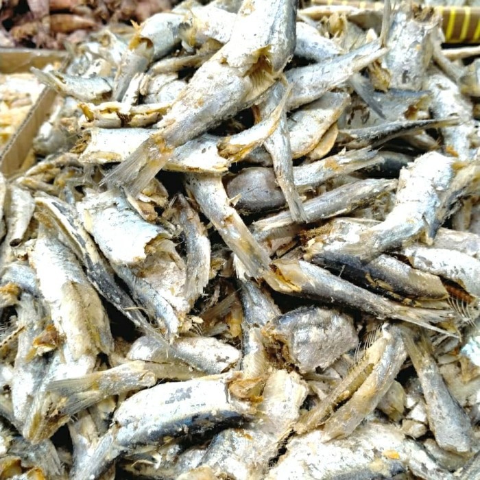 

Ikan Sepoh Sampah Daging/Ikan Japu 1Kg