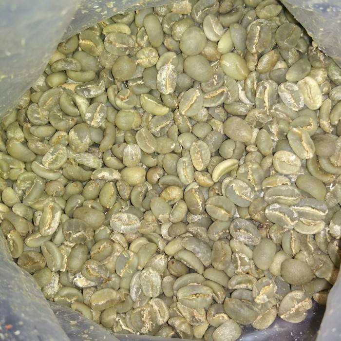 

Greenbean Luwak Liar Gayo Takengon Diskon