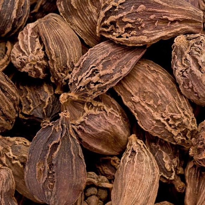 

Cao Guo Amomum Tsaoko 1Kg / Chinese Black Cardamom/ Kapulaga Hitam Terlaris