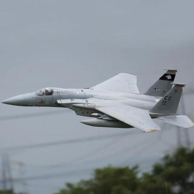 FREEWING F-15 F15 90MM RC JET AIRPLANE MODEL KIT WITH SERVOS